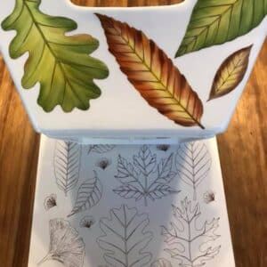 Calca Vitrificable para Porcelana 23×33, Diseño 163