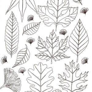 Calca Vitrificable para Porcelana 23×33, Diseño 163
