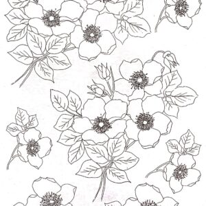 Calca Vitrificable para Porcelana 23x33cm, Diseño 170
