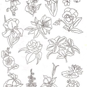 Calca Vitrificable para Porcelana 23x33cm, Diseño Número 181