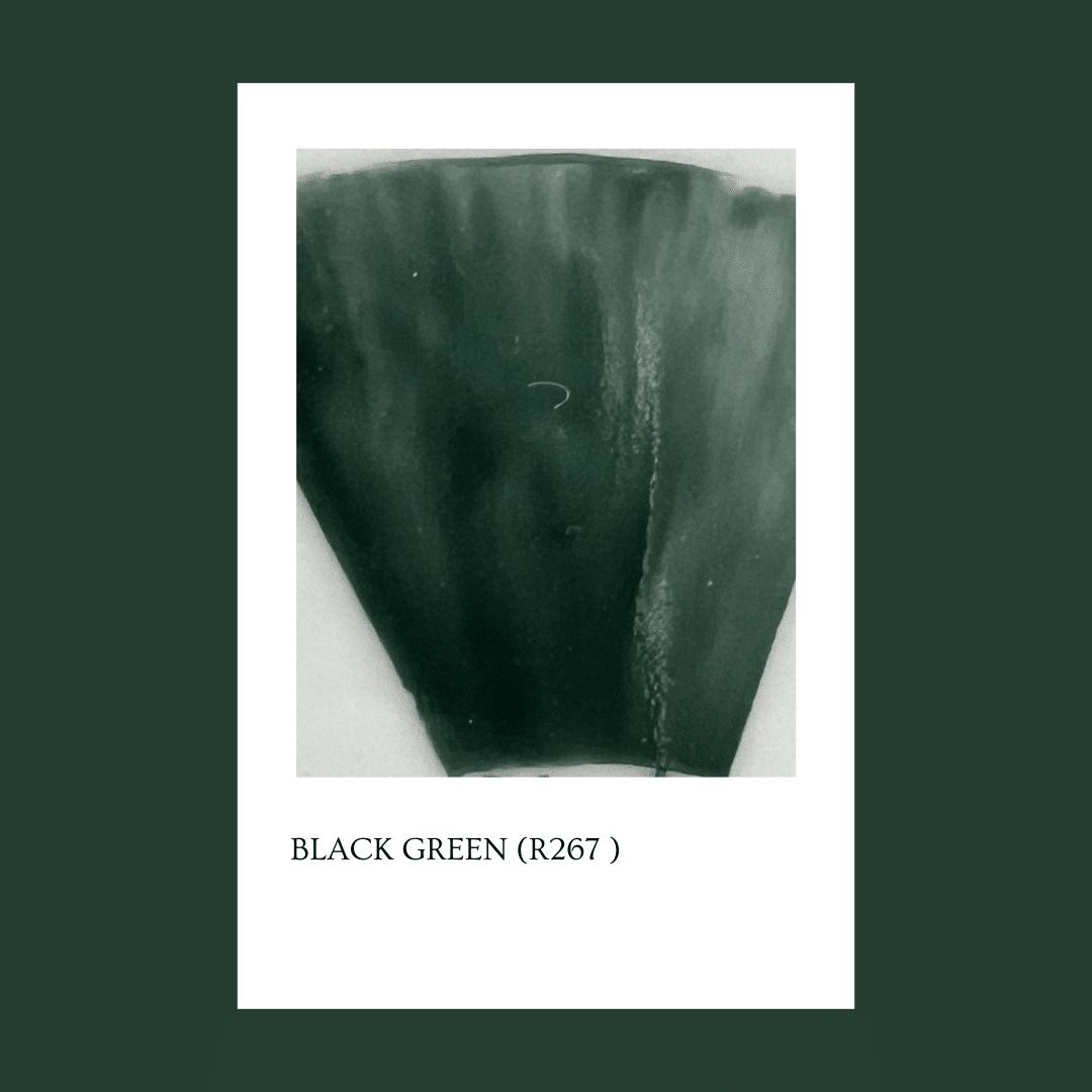 Taller de arte Verde Manzana Vajilla porcelana plato curso Pigmento Black Green (267R) 5gr