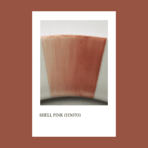 Pigmento Shell Pink 5 gs.